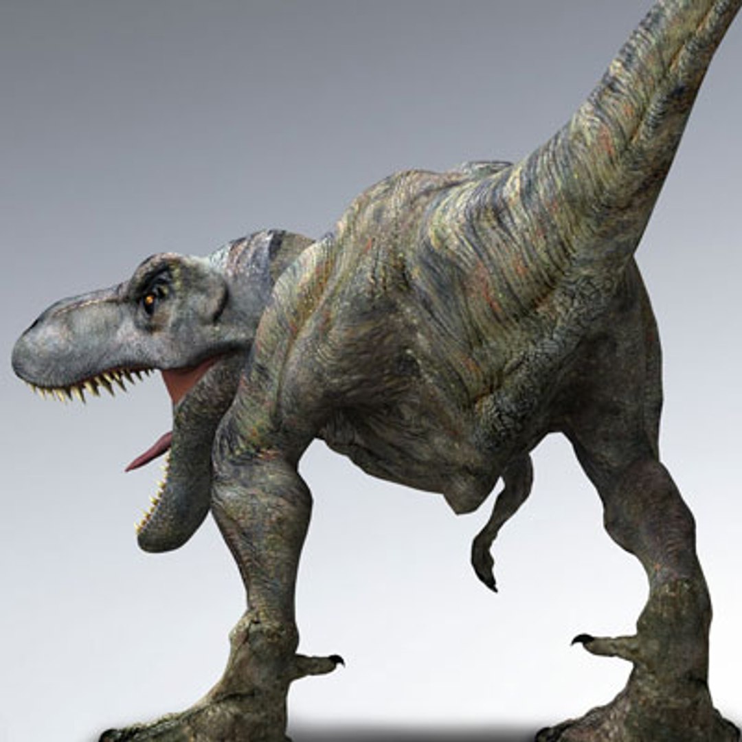 Jurassic Park T-rex 3d Model