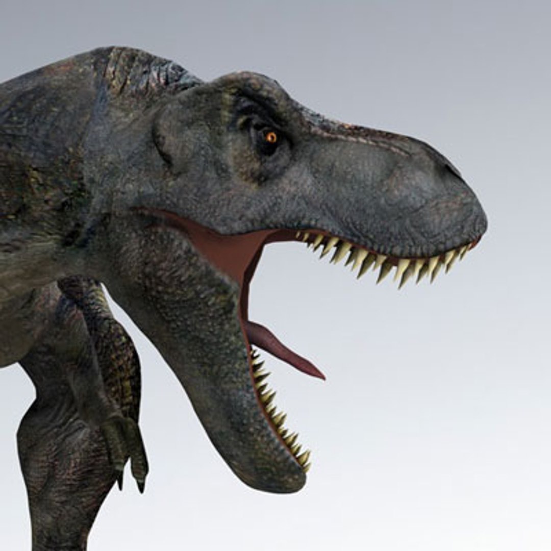 T Rex 3d model. Tyrannosaurus Rex 3d. T Rex 3d model Jurassic Park 3. Динозавры 3д очки.