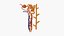 Rein Nephron Toon Structure de couleur