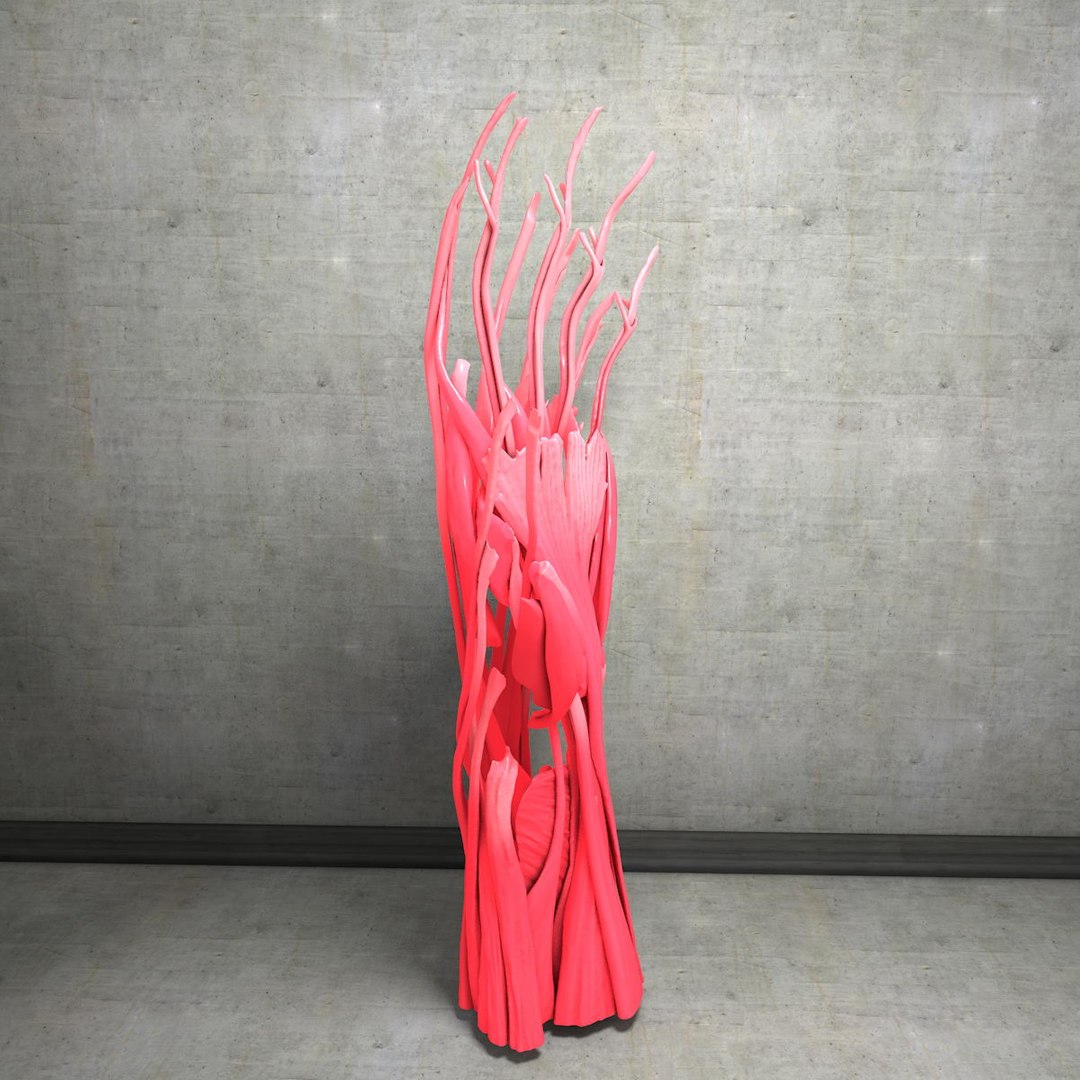 human hand muscles c4d https://p.turbosquid.com/ts-thumb/gu/VmJ0kV/0HFARNVu/handturn030014/jpg/1407173638/1920x1080/fit_q87/985b37affb6592d5645fd35df28ed136d02865d4/handturn030014.jpg