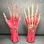 Ultimate Human Hand Muscles Anatomy
