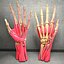 Ultimate Human Hand Muscles Anatomy