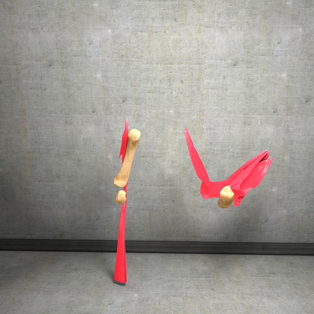 human hand muscles c4d https://p.turbosquid.com/ts-thumb/gu/VmJ0kV/ZSF4CV6B/hand042/jpg/1407244971/1920x1080/fit_q87/78379918cf8093c9db6a9a631cc8a2e2b71cd687/hand042.jpg