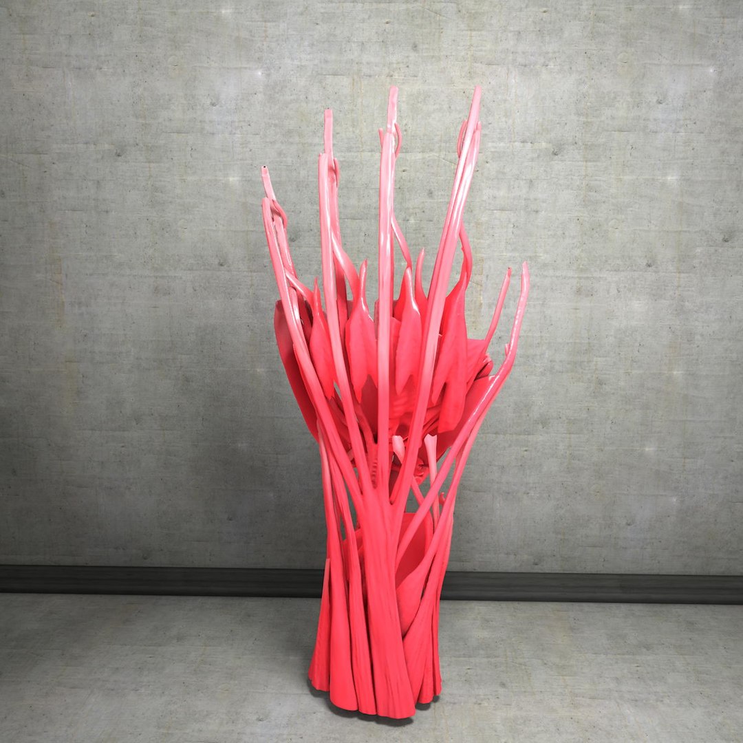 human hand muscles c4d https://p.turbosquid.com/ts-thumb/gu/VmJ0kV/a9Es5NEP/handturn030035/jpg/1407173639/1920x1080/fit_q87/c9fc4005fc93f70fa28086dd37c2e74b7c7642f8/handturn030035.jpg