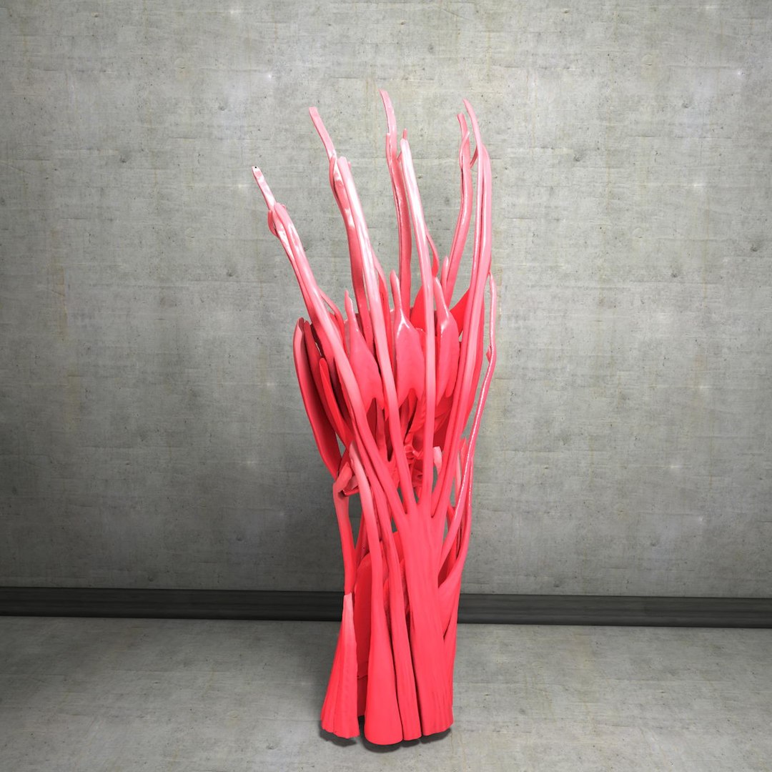 human hand muscles c4d https://p.turbosquid.com/ts-thumb/gu/VmJ0kV/awcZwhvV/handturn030042/jpg/1407173639/1920x1080/fit_q87/c5715a341cb2ee0e75e61fcb7e45ba7903c7248d/handturn030042.jpg