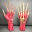 Ultimate Human Hand Muscles Anatomy