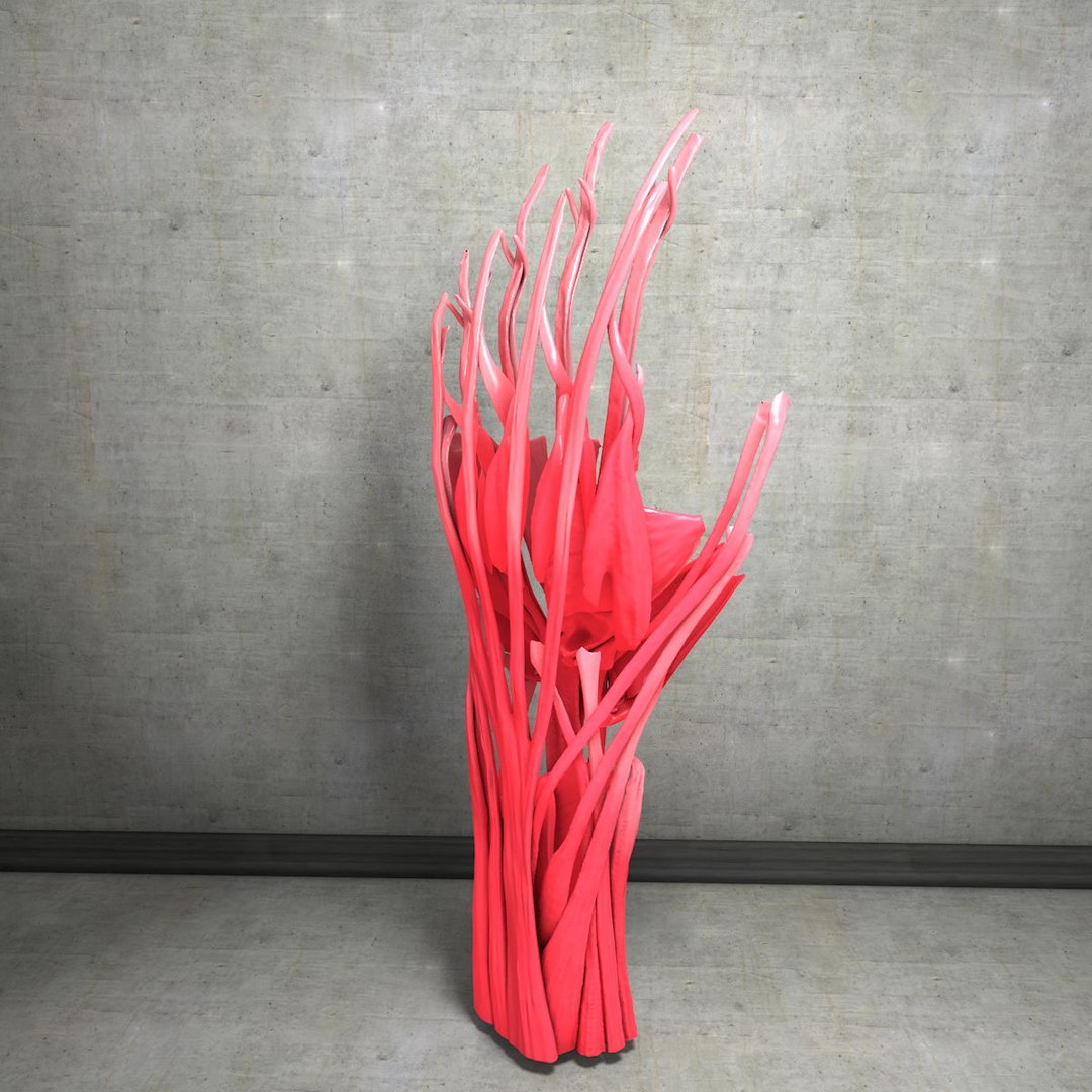 human hand muscles c4d https://p.turbosquid.com/ts-thumb/gu/VmJ0kV/i7WOPvOM/handturn030028/jpg/1407173639/1920x1080/fit_q87/ed1b52c5773dd483d8c385a6428c2d93dd422db7/handturn030028.jpg