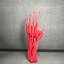 Ultimate Human Hand Muscles Anatomy