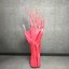 Ultimate Human Hand Muscles Anatomy