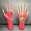 Ultimate Human Hand Muscles Anatomy