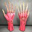 Ultimate Human Hand Muscles Anatomy
