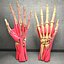Ultimate Human Hand Muscles Anatomy