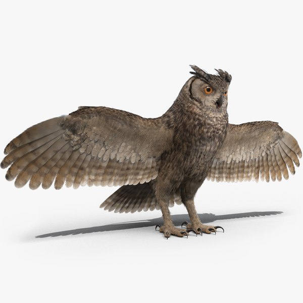 3D owl rigged - TurboSquid 1287937
