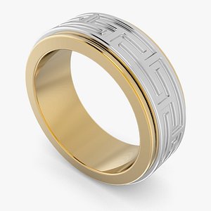 Spinning Band Ring In Yellow And White Gold model