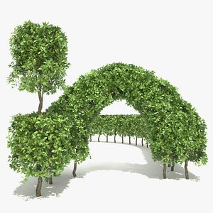 Beech Hedge Elements Set 1 (Summer)