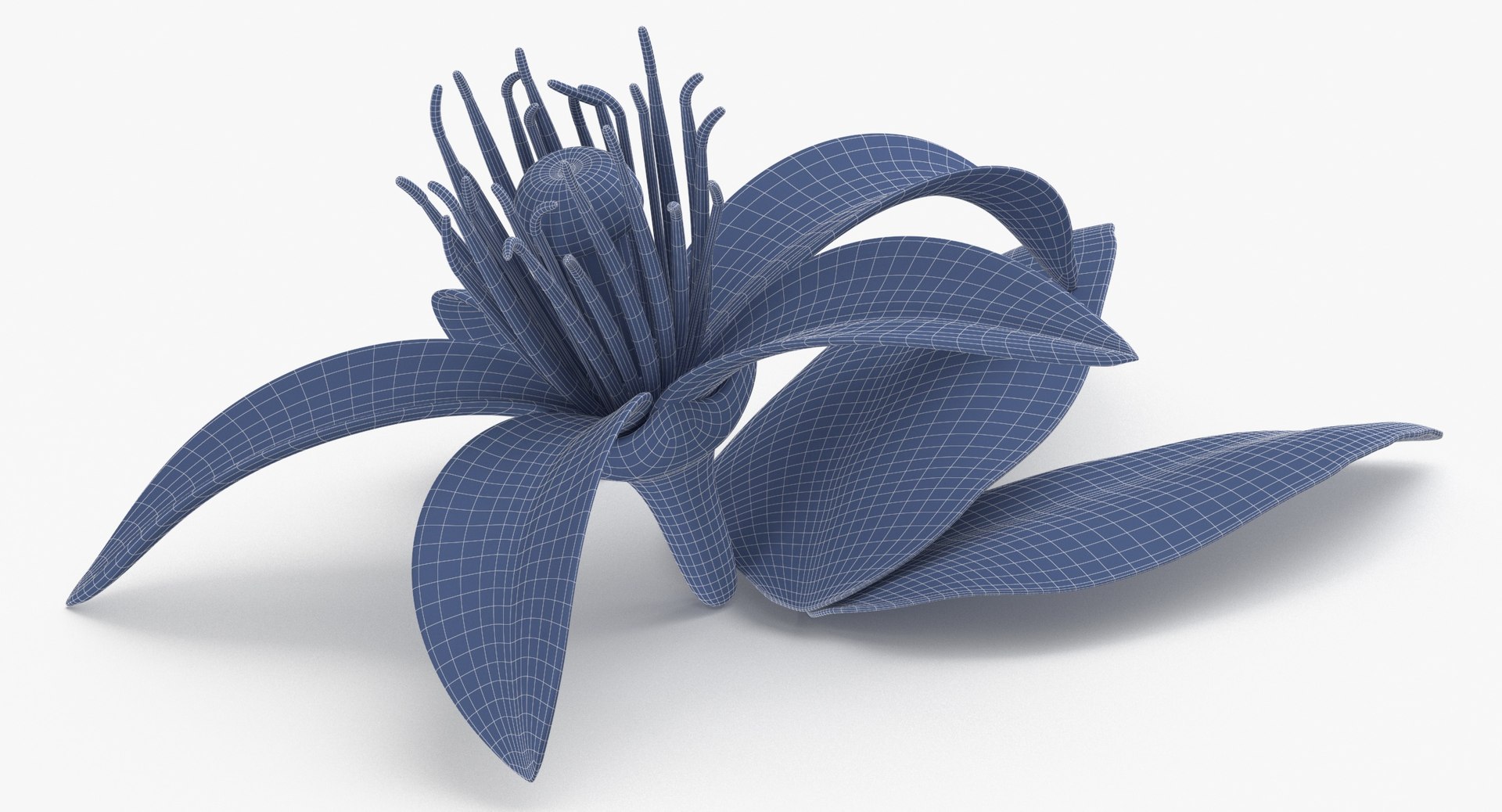 3D Prop 24 Citrus Blossoms Single Flower - TurboSquid 2146837