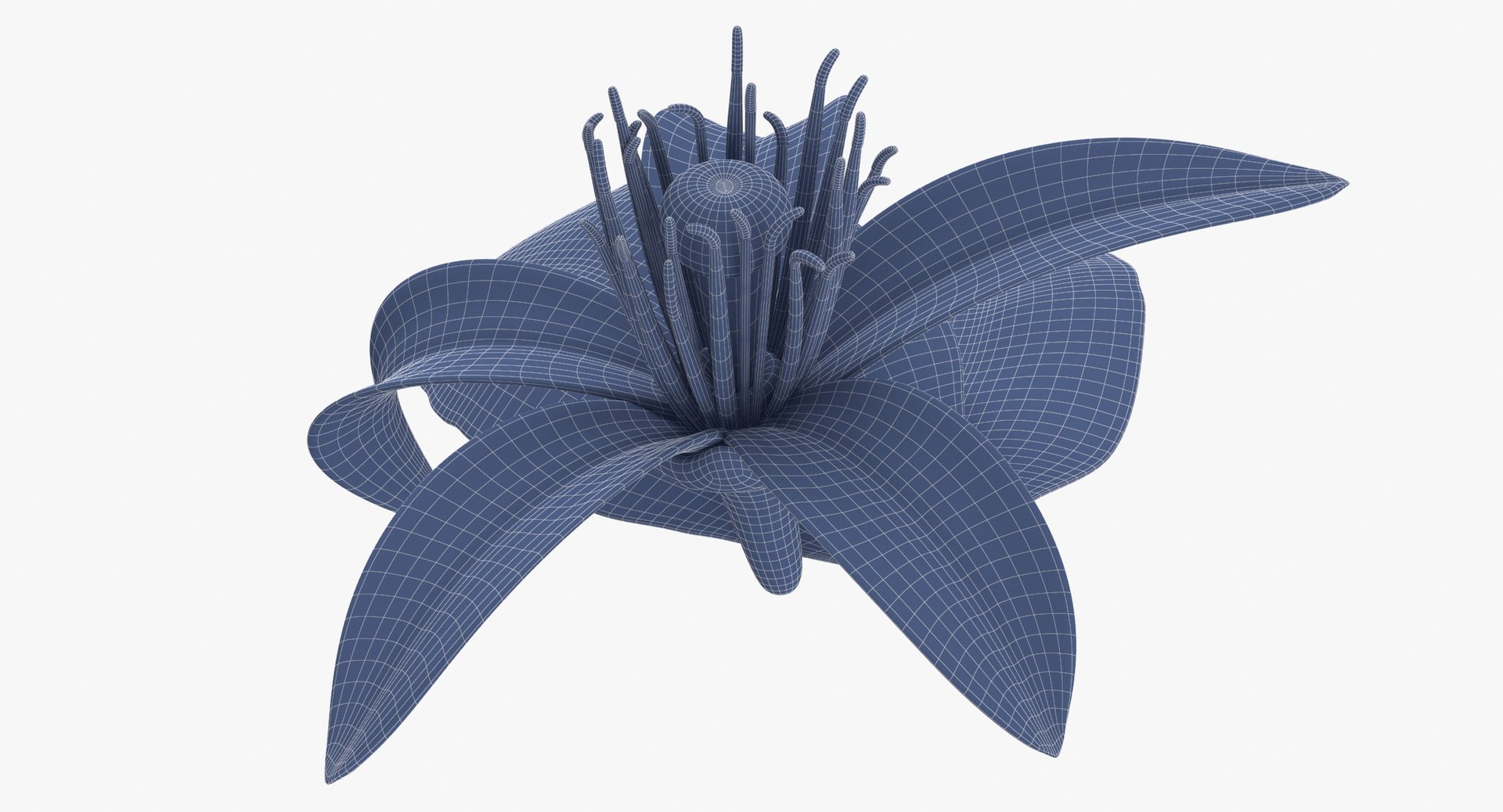 3D Prop 24 Citrus Blossoms Single Flower - TurboSquid 2146837