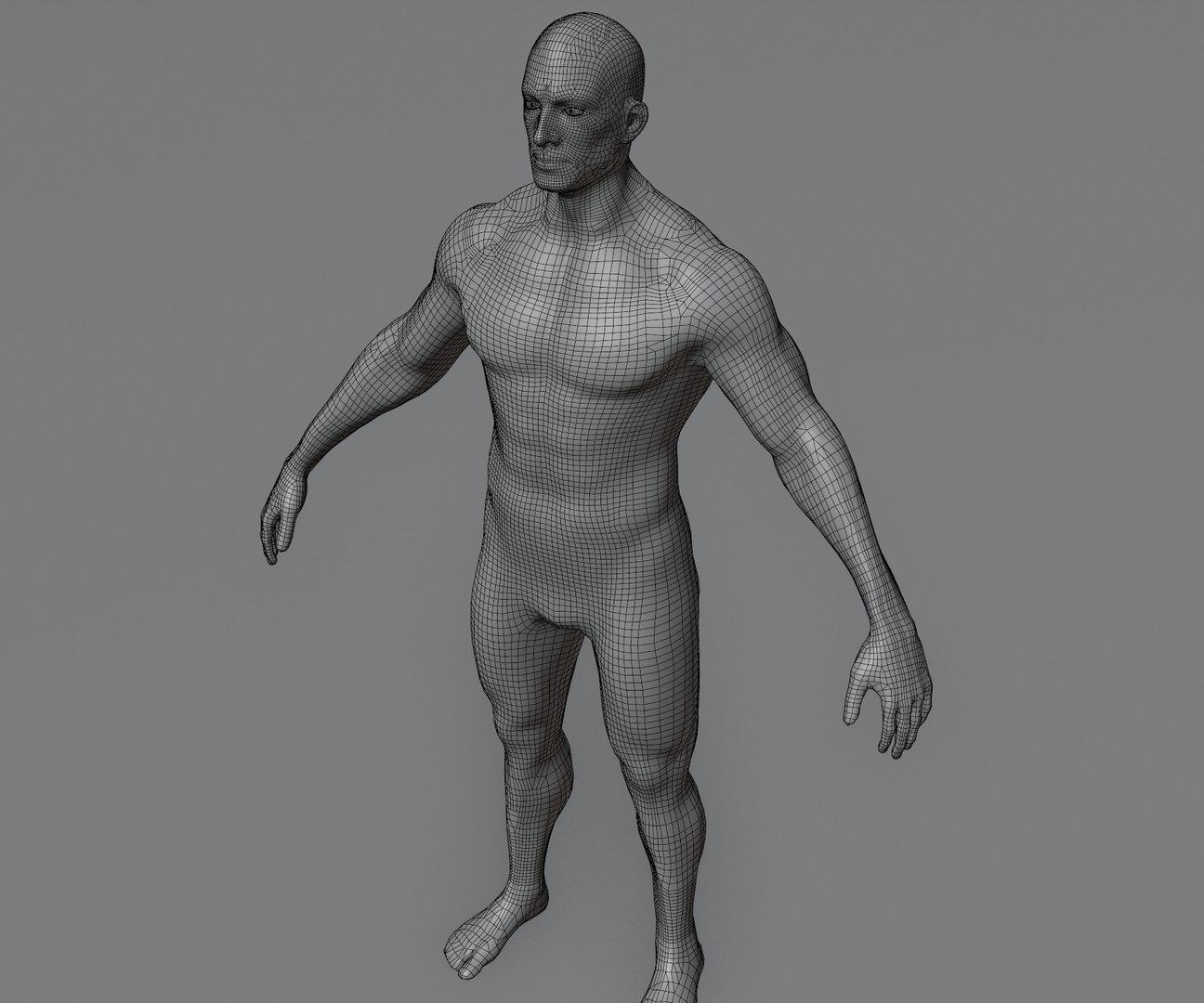 Male and Female Body Base Mesh Animated and Rigged 3D Model 20k ...