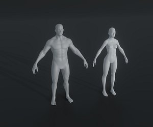 Male and Female Body Base Mesh Animated and Rigged 3D Model 20k Polygons