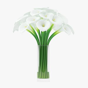 calla lilies flower 3d max