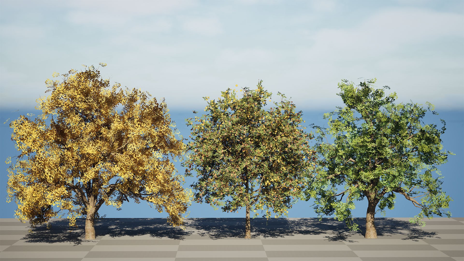 3D Flander Sycamore 3D Tree Pack https://p.turbosquid.com/ts-thumb/gv/DTrtzl/nE/highresscreenshot00000/jpg/1743020877/1920x1080/fit_q87/2fa120a3a5c85047e95d9fc11dafa1411f094e0b/highresscreenshot00000.jpg