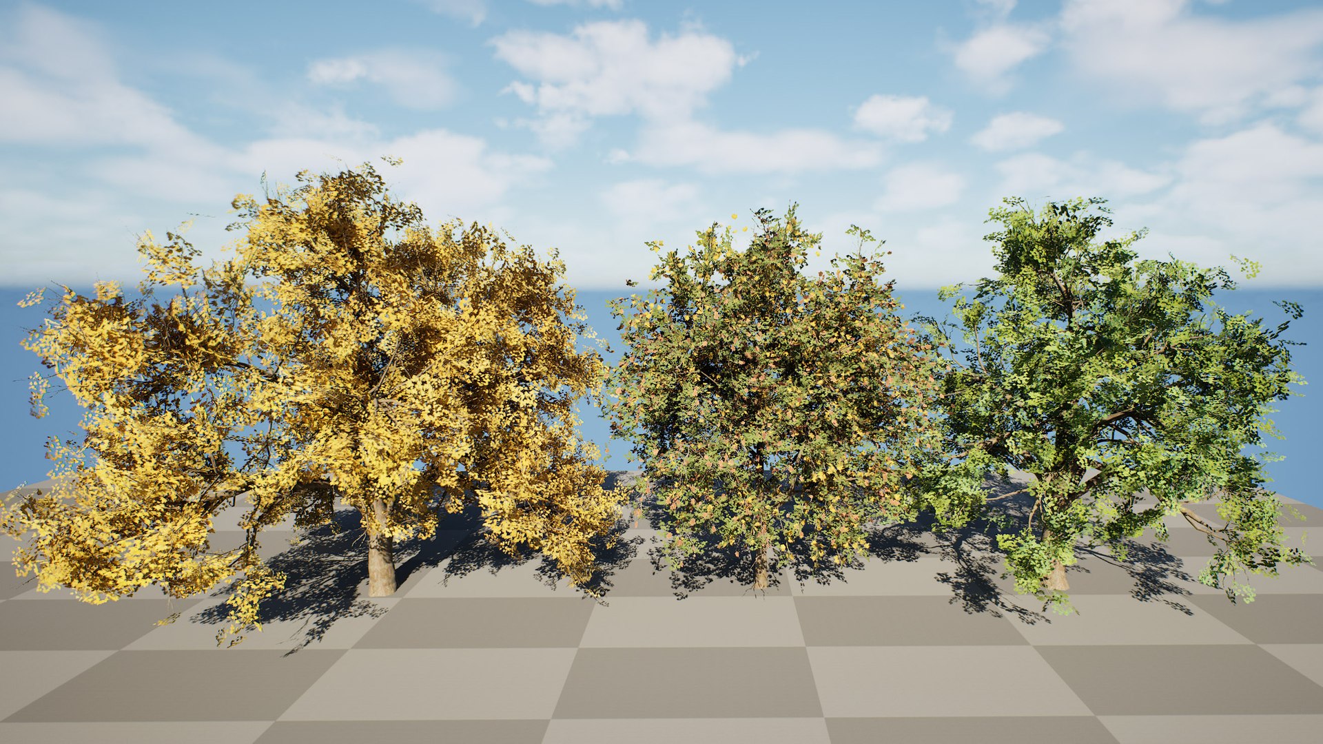 3D Flander Sycamore 3D Tree Pack https://p.turbosquid.com/ts-thumb/gv/DTrtzl/yg/highresscreenshot00001/jpg/1743020881/1920x1080/fit_q87/692417cbee0afe8e5b7196a2f1eb8575a285ef28/highresscreenshot00001.jpg
