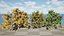 Flander Sycamore 3D Tree Pack