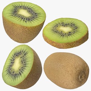 Kiwi Collection 3D model