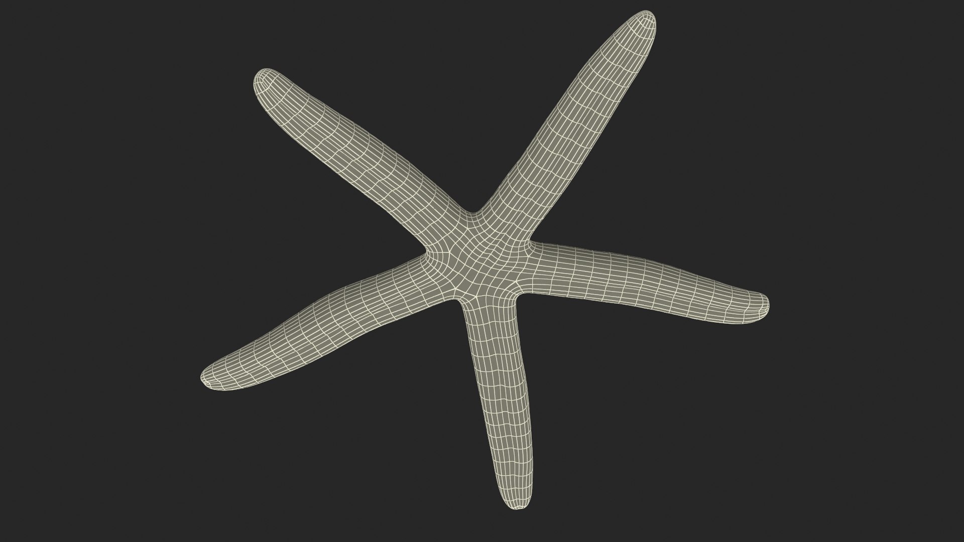 Red Sea Star Rigged for Maya 3D model https://p.turbosquid.com/ts-thumb/gv/Jna9pE/mH/redseastarriggedformaya3dsmodel014/jpg/1719892554/1920x1080/fit_q87/ca1169429b6f102421f7b674e534f3122e12cae5/redseastarriggedformaya3dsmodel014.jpg