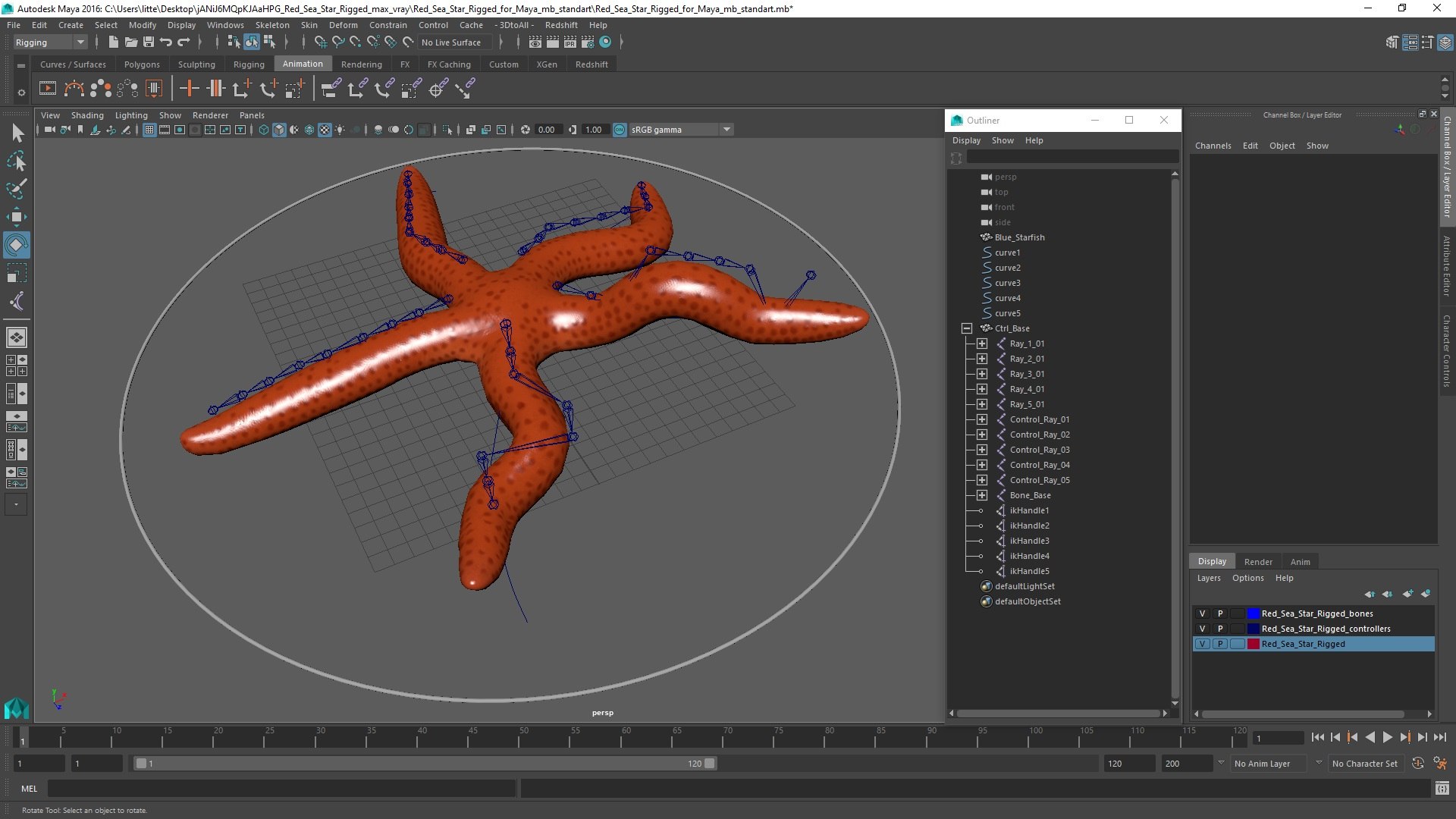 Red Sea Star Rigged for Maya 3D model https://p.turbosquid.com/ts-thumb/gv/Jna9pE/sU/redseastarriggedformaya3dsmodel020/jpg/1719892572/1920x1080/fit_q87/3beb84b8f5e702c7ca7872afe9350dc9218bbba5/redseastarriggedformaya3dsmodel020.jpg