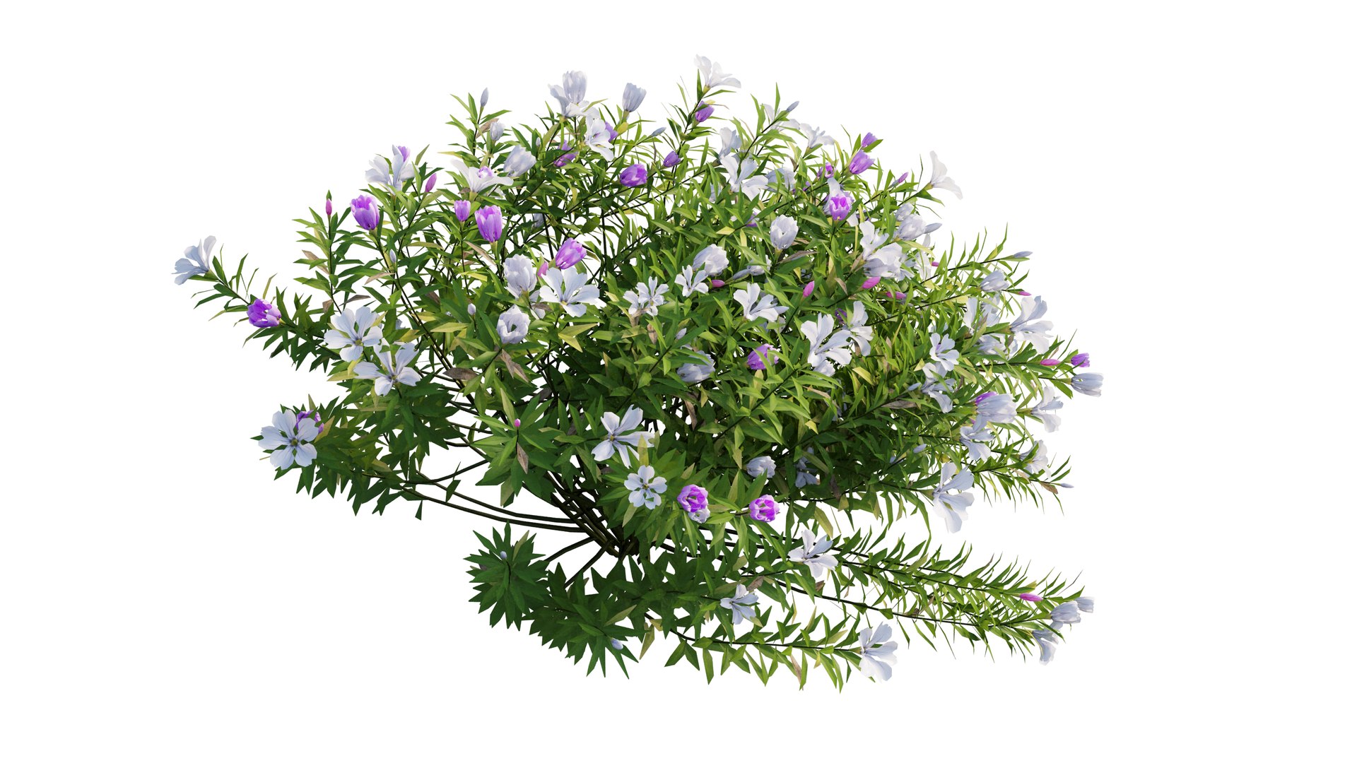 3D model plant flower set 17 https://p.turbosquid.com/ts-thumb/gv/MubBLW/1gYWoM5l/6_interactivelightmix/png/1603803811/1920x1080/fit_q87/fe90309d5b35de79e0c69071100de897e0614873/6_interactivelightmix.jpg