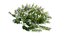 Plant Flower set 17