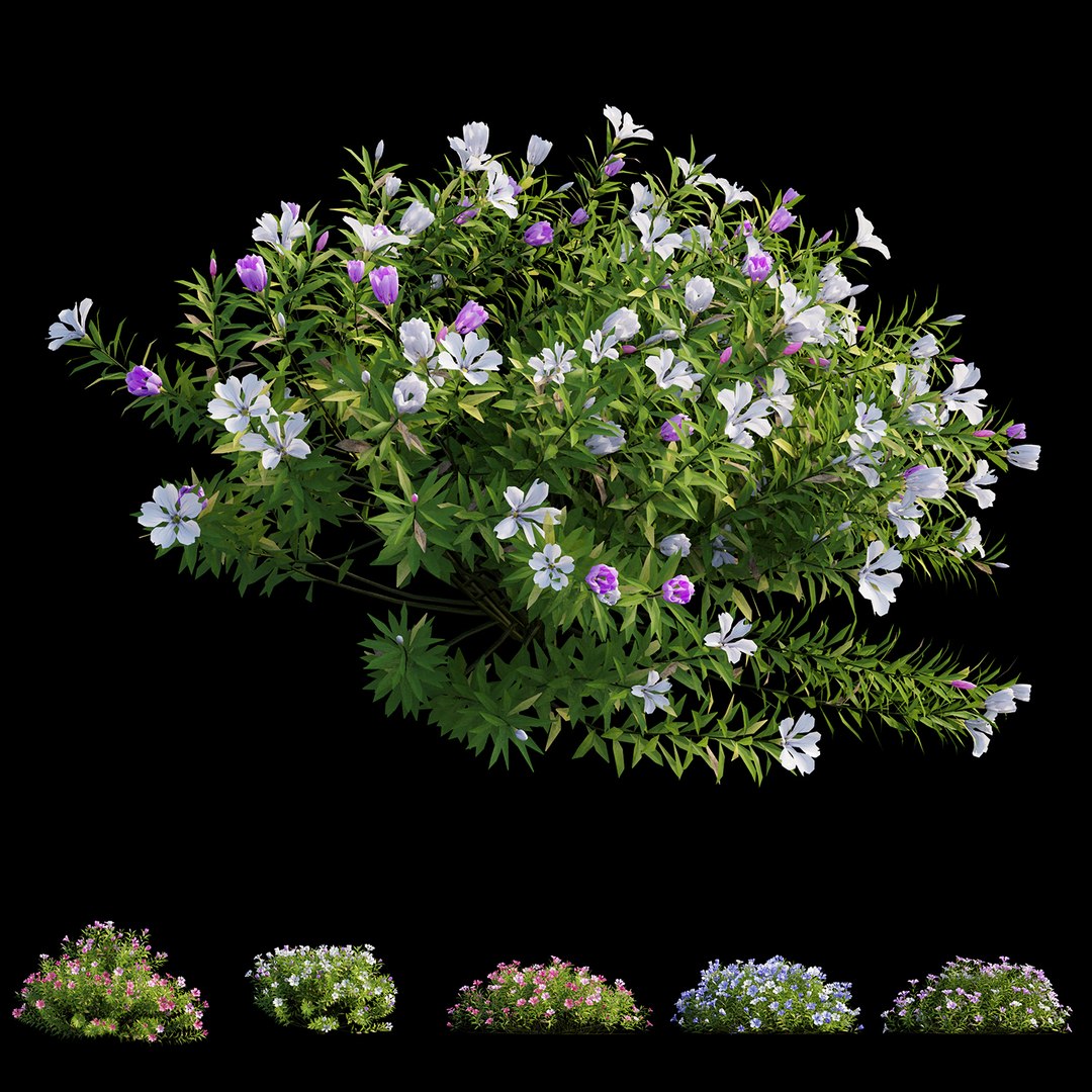 3D model plant flower set 17 https://p.turbosquid.com/ts-thumb/gv/MubBLW/2Q26gomc/view04/jpg/1586713774/1920x1080/fit_q87/8742846ad70d6a04c276a877204ee38e6c8a242e/view04.jpg