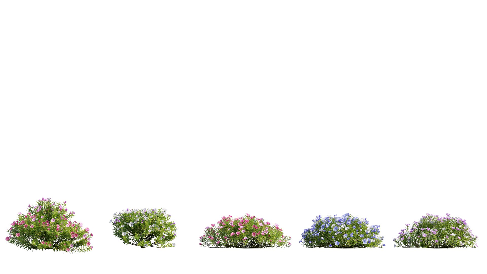 3D model plant flower set 17 https://p.turbosquid.com/ts-thumb/gv/MubBLW/3TneBp0F/1_interactivelightmix/png/1603803804/1920x1080/fit_q87/dc14d0f32119023b7b87b356c64cc67f3d3ffcac/1_interactivelightmix.jpg