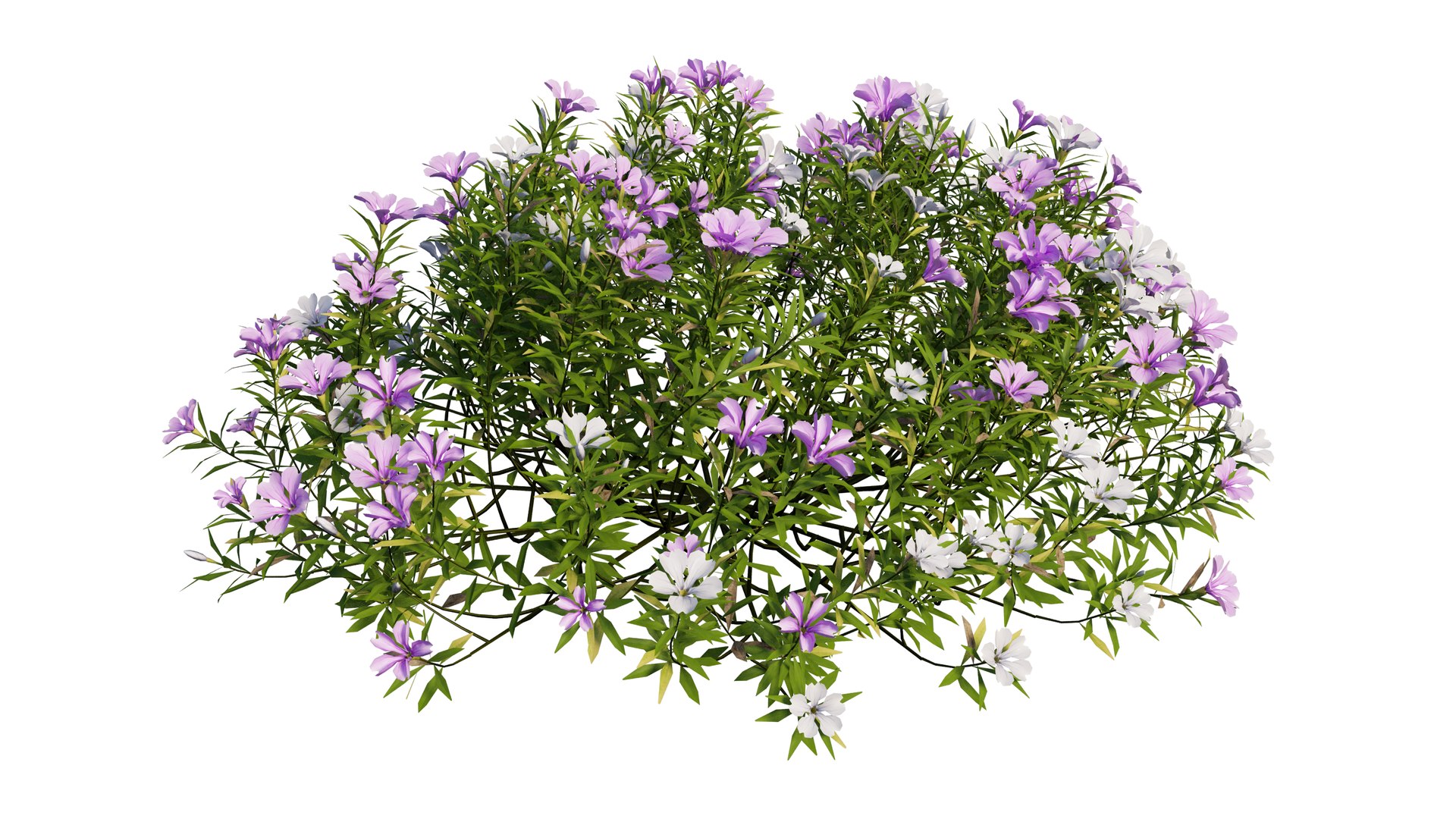 3D model plant flower set 17 https://p.turbosquid.com/ts-thumb/gv/MubBLW/8Dtln4HB/2_interactivelightmix/png/1603803813/1920x1080/fit_q87/979ab6441521cbf2cf577b271009d09cca0fa987/2_interactivelightmix.jpg