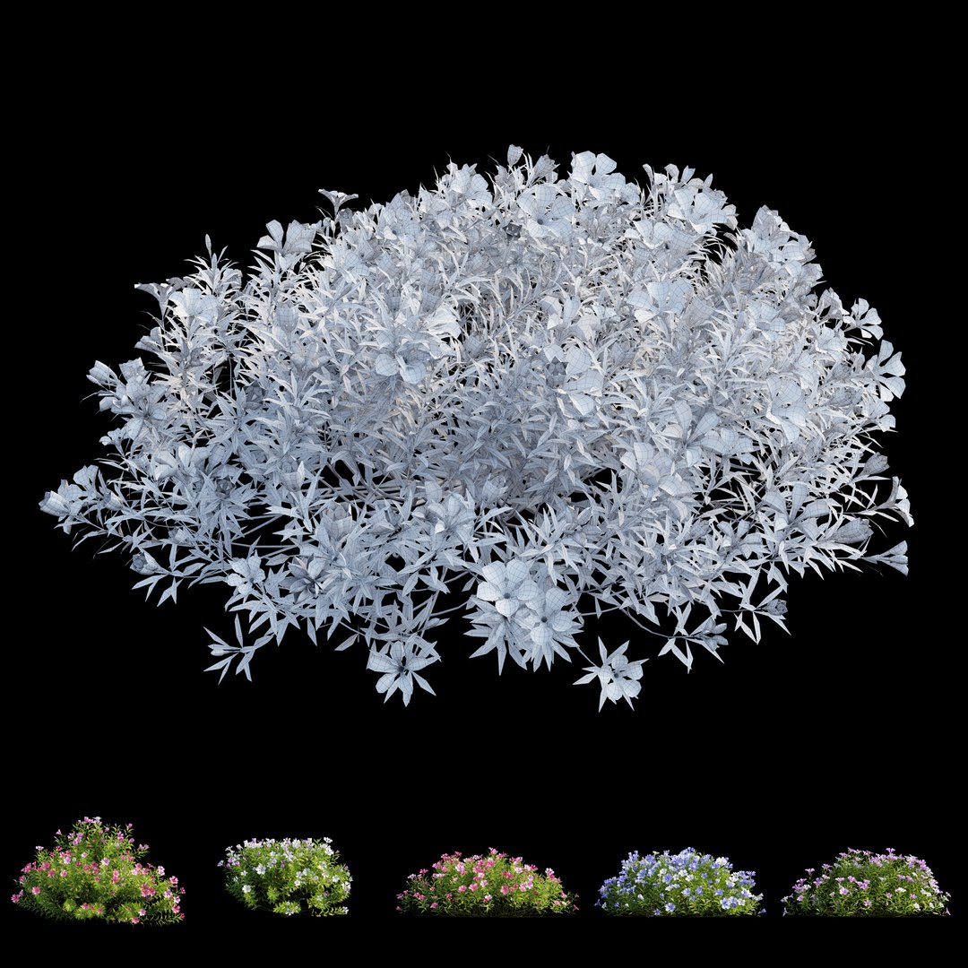 3D model plant flower set 17 https://p.turbosquid.com/ts-thumb/gv/MubBLW/JjOnVCEV/view07/jpg/1586713817/1920x1080/fit_q87/5919ef8f5f709ba2b68173b161dba1e8a69026e1/view07.jpg
