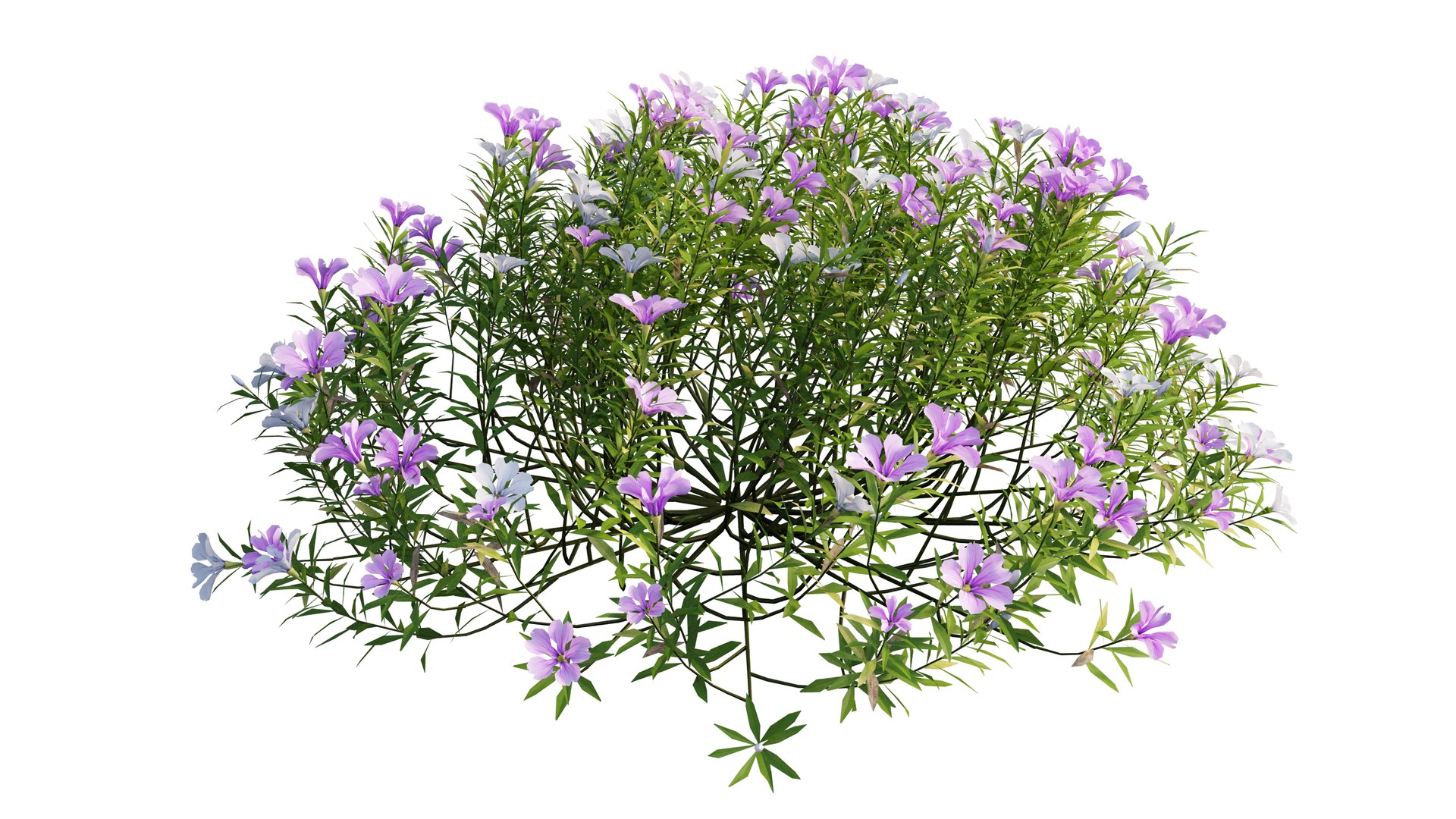 3D model plant flower set 17 https://p.turbosquid.com/ts-thumb/gv/MubBLW/LQd1EgxA/4_interactivelightmix/png/1603803817/1920x1080/fit_q87/378944149f42f165be61e5a4b2e1b9c487fc9cf9/4_interactivelightmix.jpg