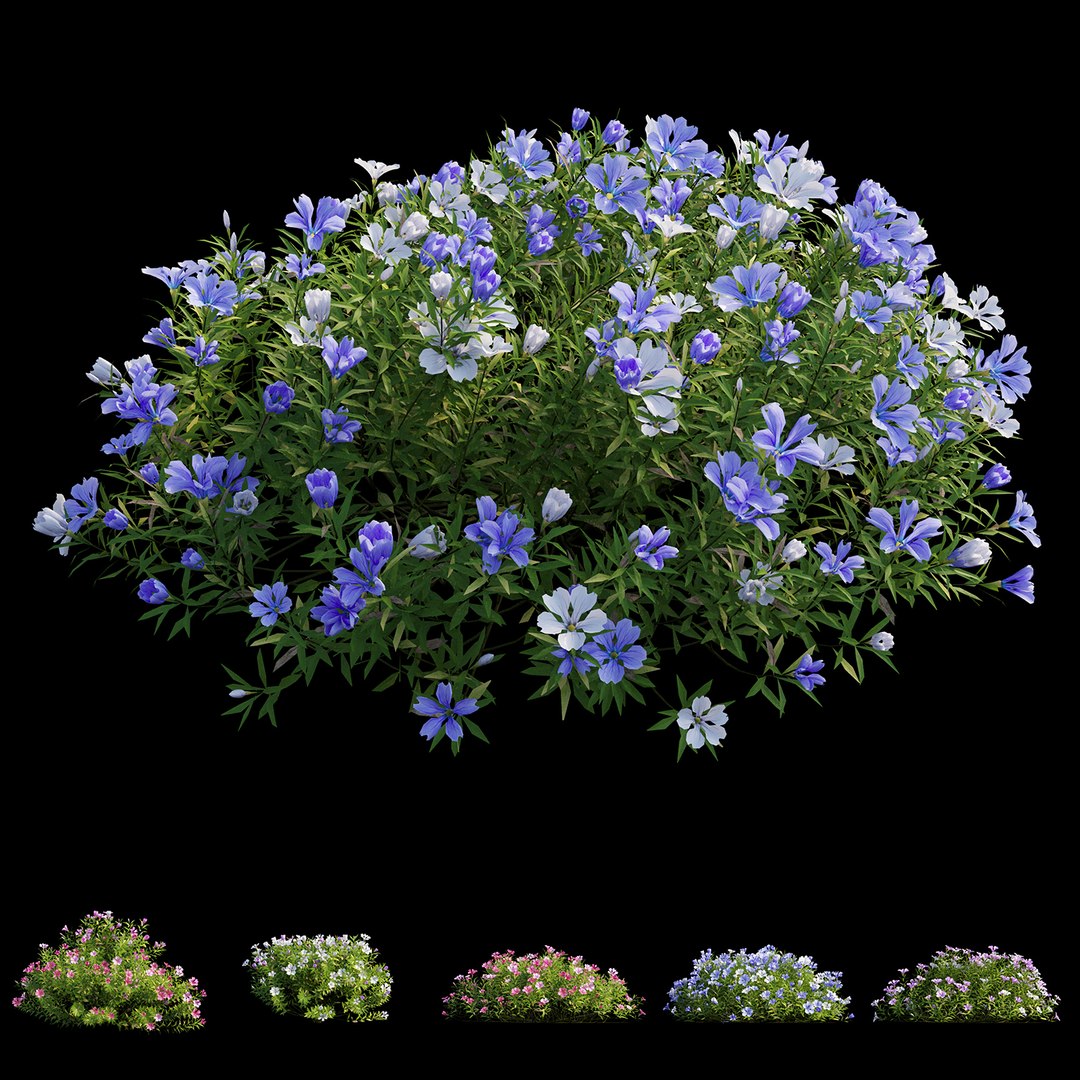3D model plant flower set 17 https://p.turbosquid.com/ts-thumb/gv/MubBLW/aiXCVkUA/view01/jpg/1586713774/1920x1080/fit_q87/ec0e4d725989d80a0eaf7a9a4c58f9956f7b46ec/view01.jpg