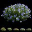 Plant Flower set 17