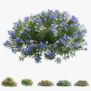 Plant Flower set 17