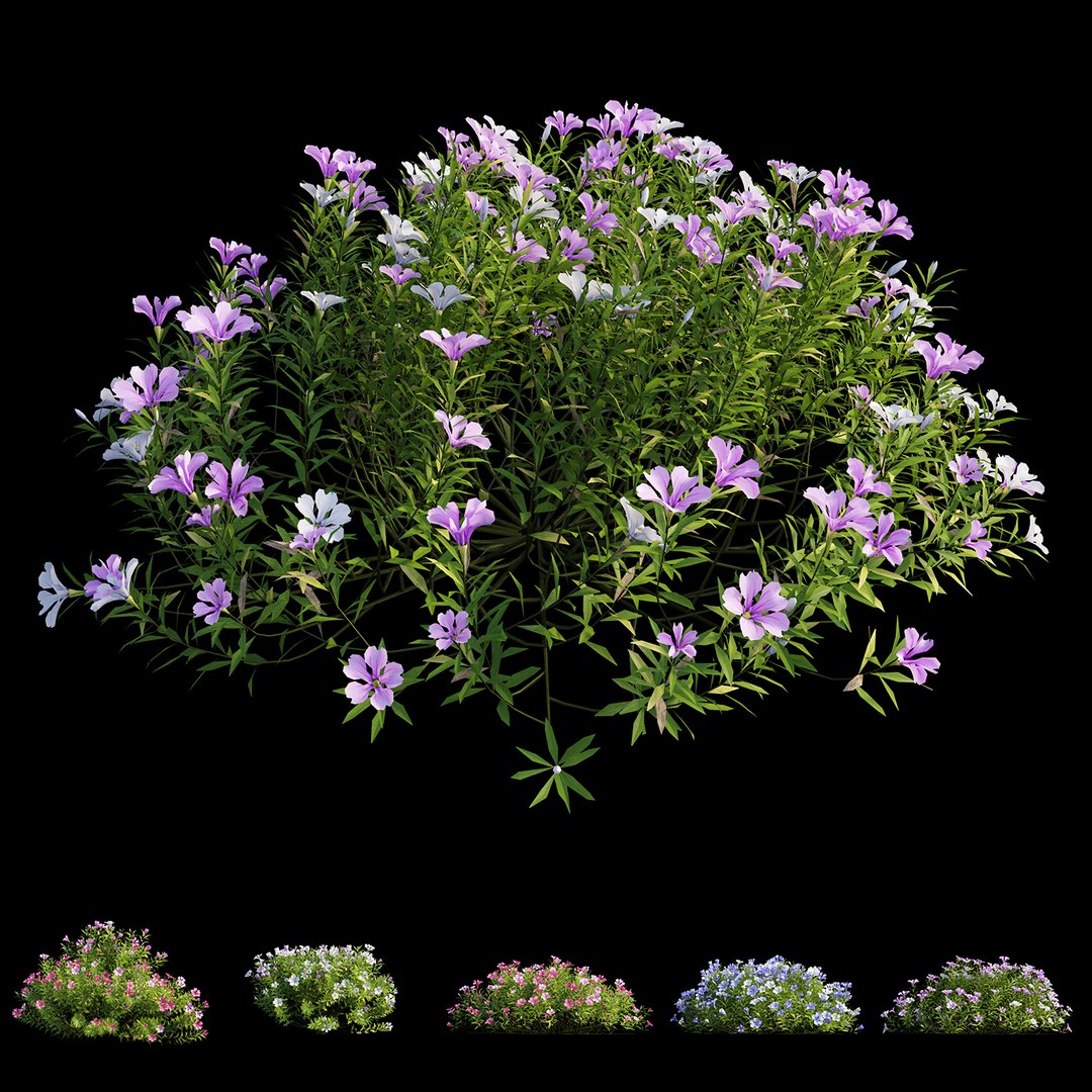 3D model plant flower set 17 https://p.turbosquid.com/ts-thumb/gv/MubBLW/jbJbWxMj/view02/jpg/1586713774/1920x1080/fit_q87/7803881612cae465a156ce8c76c000a91a565610/view02.jpg