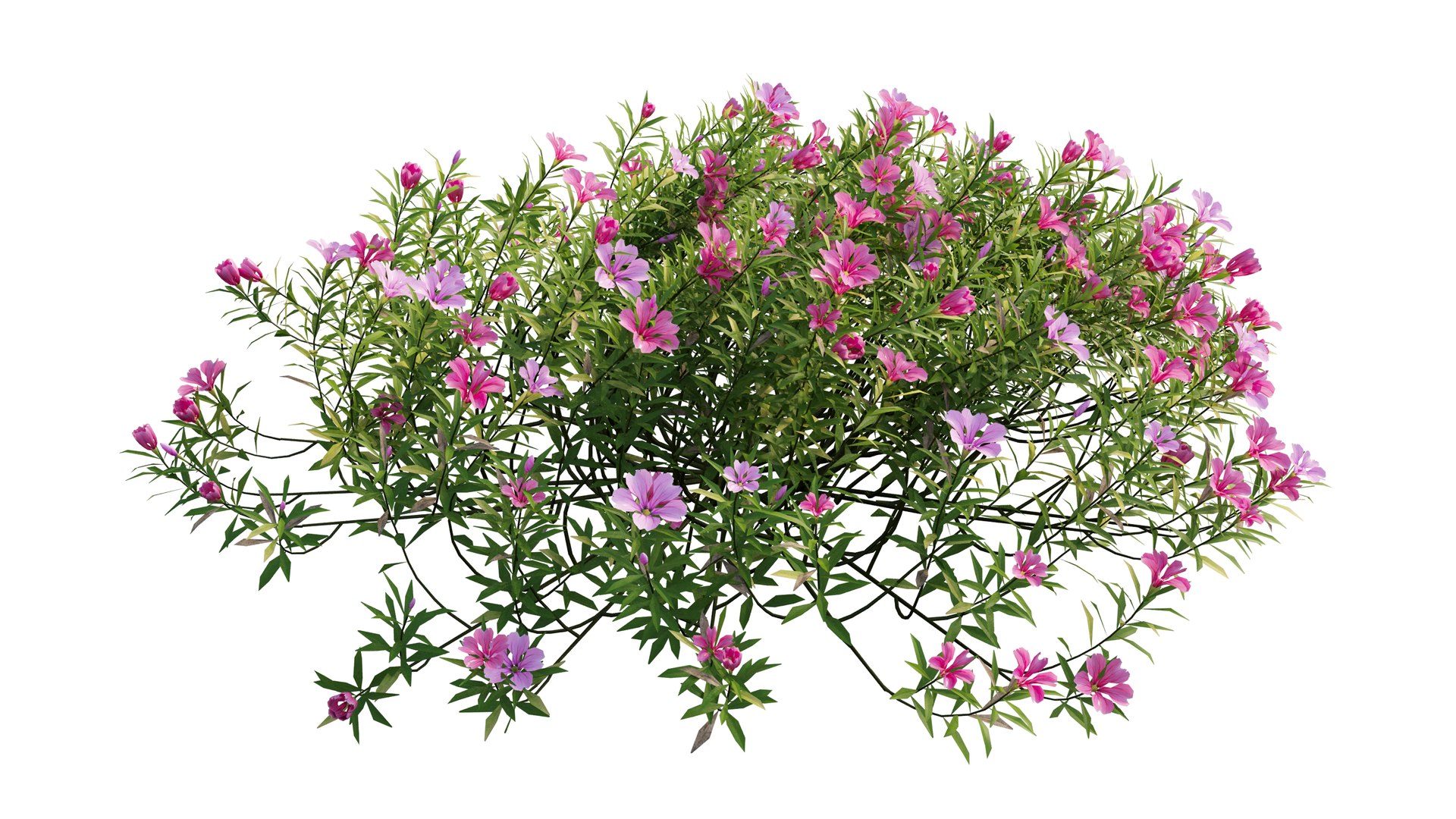3D model plant flower set 17 https://p.turbosquid.com/ts-thumb/gv/MubBLW/qpP4J7Jw/5_interactivelightmix/png/1603803814/1920x1080/fit_q87/fc1deb8ed6941887518530a1b4568d65c47eb32a/5_interactivelightmix.jpg