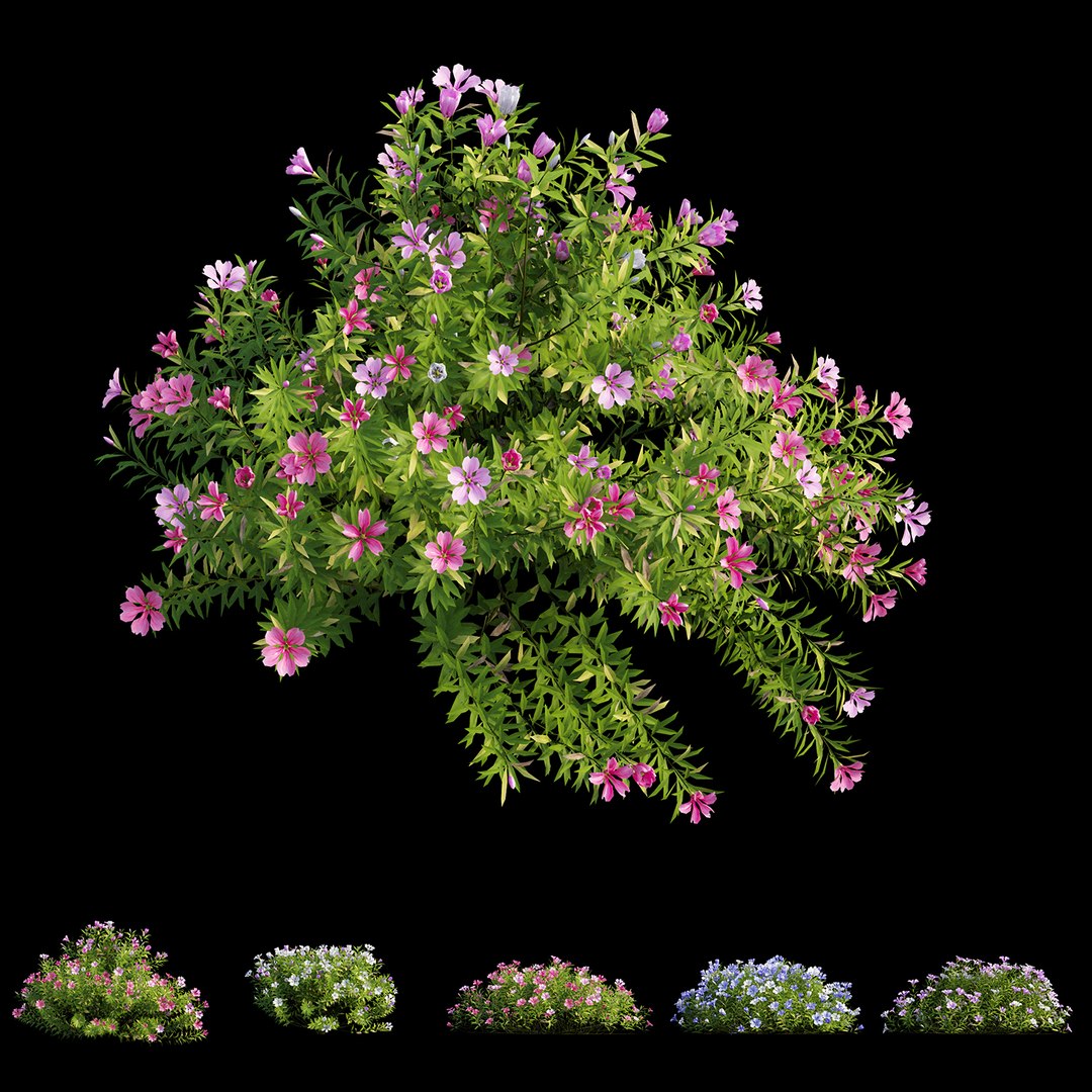 3D model plant flower set 17 https://p.turbosquid.com/ts-thumb/gv/MubBLW/v7RJ0lcV/view05/jpg/1586713774/1920x1080/fit_q87/4fec35a51b1d797786070ad42e6ad258b5e974e2/view05.jpg