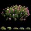 Plant Flower set 17