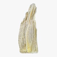 Pomelo Seed - Raw Scan