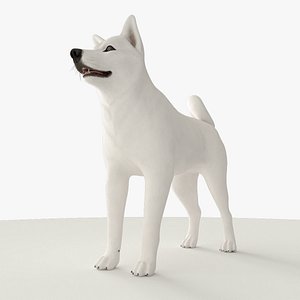 3D model White Dog