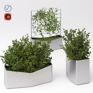 A set of elements of landscaping 4