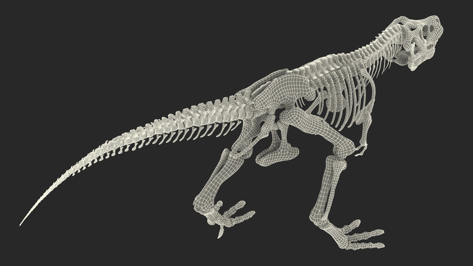 3D tyrannosaurus rex skeleton fossil - TurboSquid 1483914