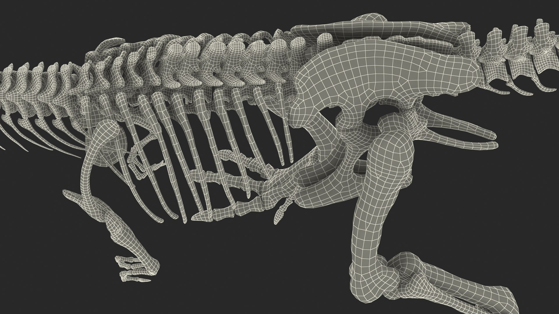 3d Tyrannosaurus Rex Skeleton Fossil - Turbosquid 1483914