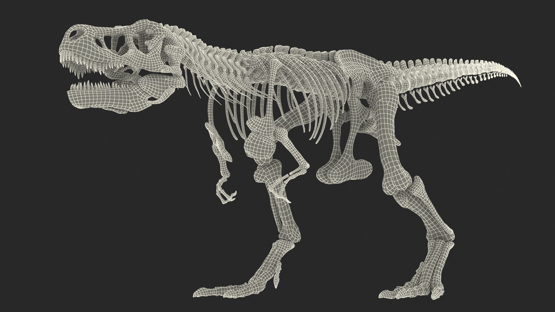 3D tyrannosaurus rex skeleton fossil - TurboSquid 1483914